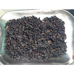 Himej Herb-Bal Harad Seeds