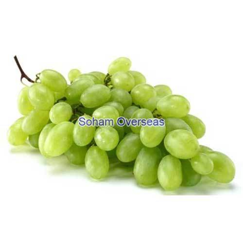Grapes By SOHAM OVERSEAS