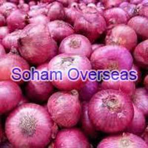Onion By SOHAM OVERSEAS