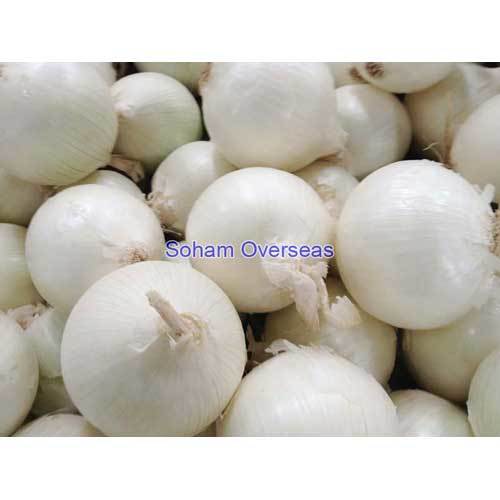 White Onion