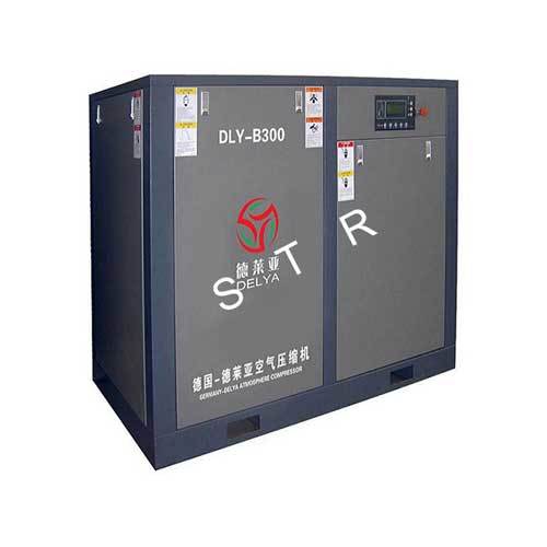 DLY-B300 Inverter Air Compressor
