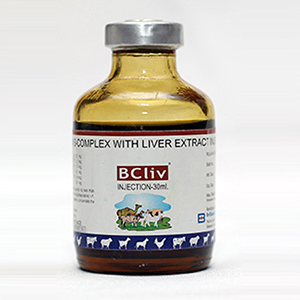 Vitamin B Complex with Liver Extract Injection