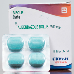 Albendazole Bolus
