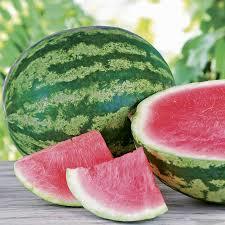 Green Fresh Watermelon