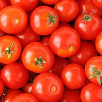 Fresh Tomatoes