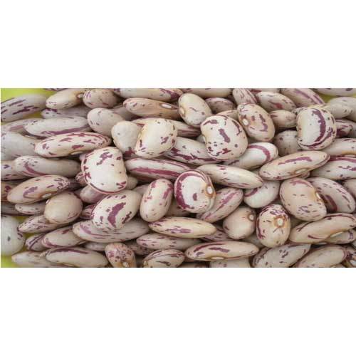 Light Speckled Kidney Beans