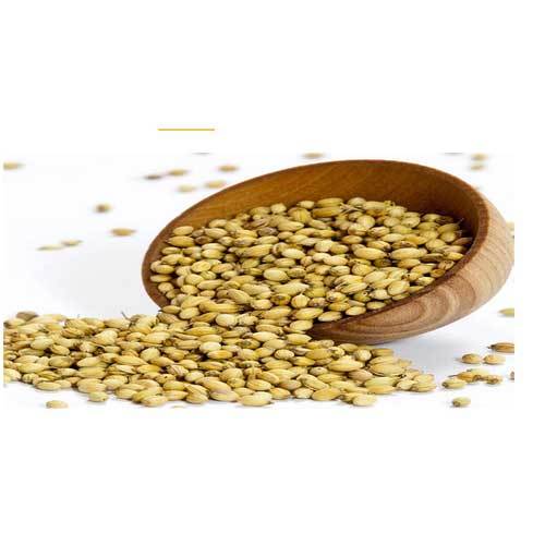 Coriander Seeds