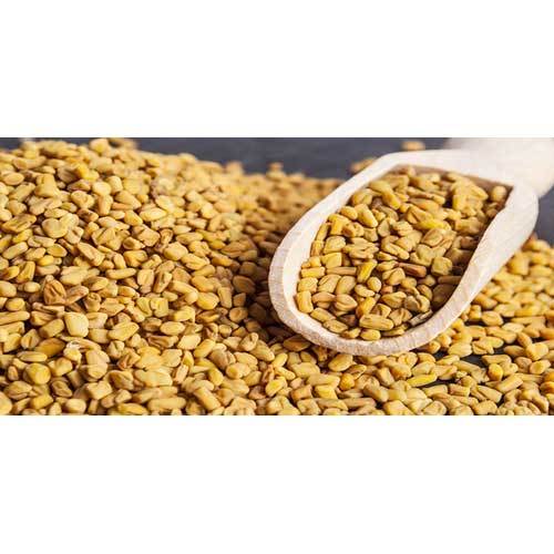 Fenugreek Seed