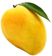 Mango Alphonso flavor