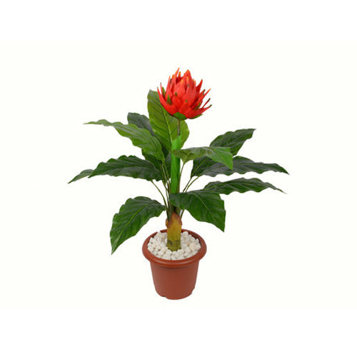 Decorative Artificial Plant