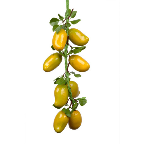 Artificial Mango
