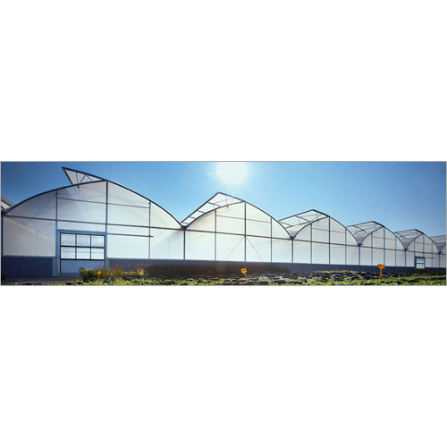 Transparent Plastic Films Transparent Plastic Films