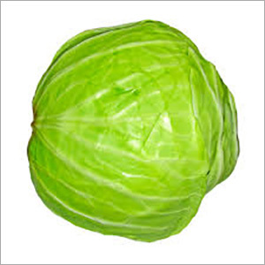 Fresh Cabbage By Lade Trading Company