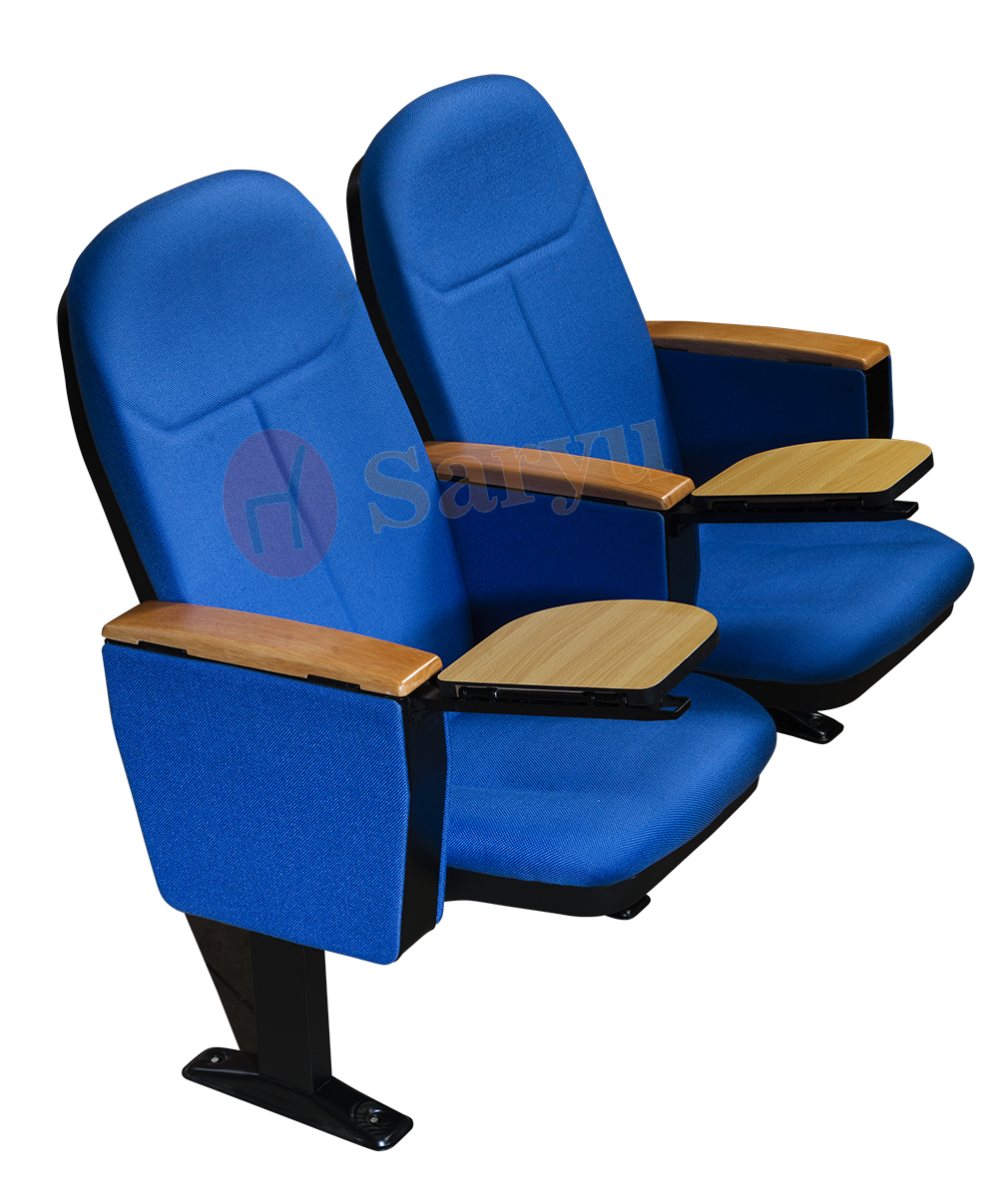 Auditorium Seat