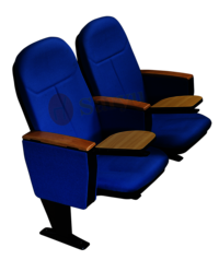 Auditorium Seat