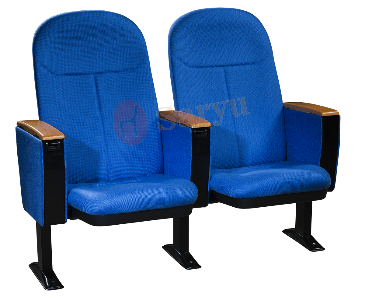 Auditorium Seat