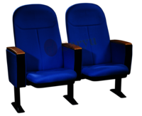 Auditorium Seat