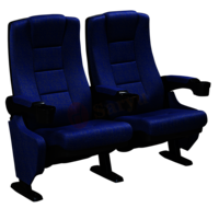 Cinema Hall Chair