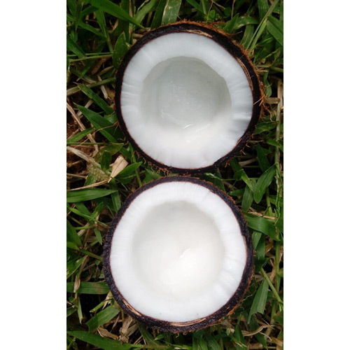 Fresh Coconut