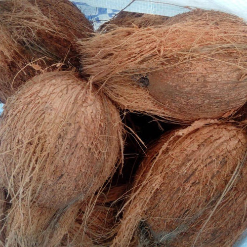Dried Coconut