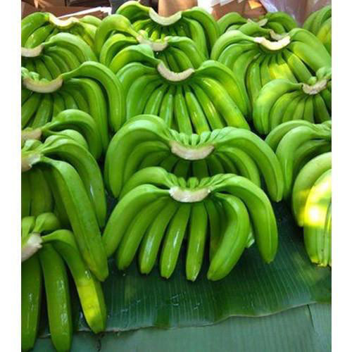 Green Banana