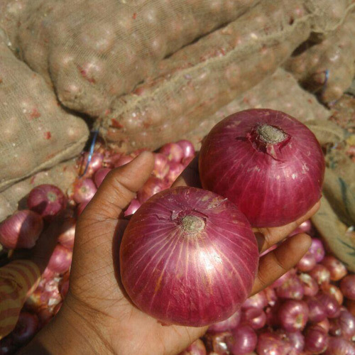 Natural Onion