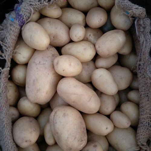 Natural Potato