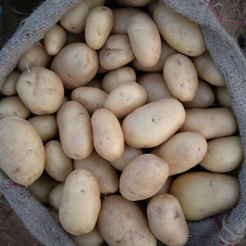 Raw Potato