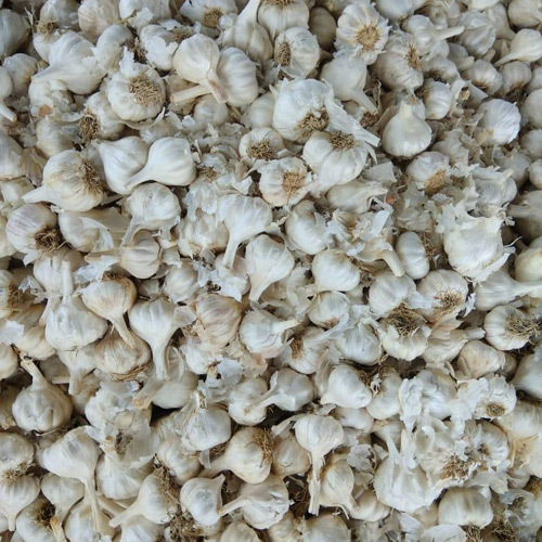 Whole Garlic