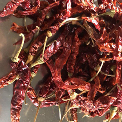 Red Chilli