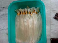 Blonde Bulk Hair - Application: Personal