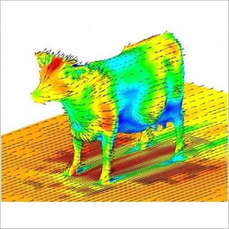 CFD Analysis