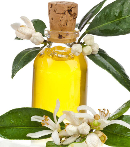 Amyris Essential Oil Age Group: Infants