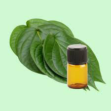Betel Leaf Essential Oil Age Group: Infants