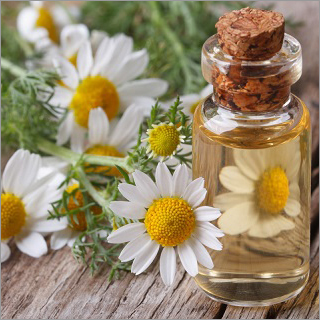Chamomile Essential Oil Roman Age Group: Adults