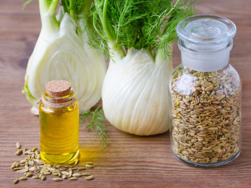Fennel Essential Oil Bitter
