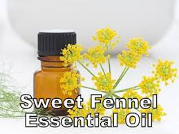 Fennel Essential Oil Sweet Age Group: Adults