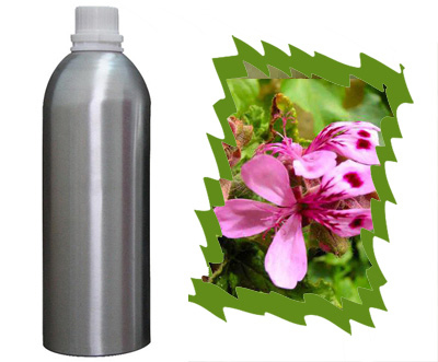 Geranium Bourbon Oil