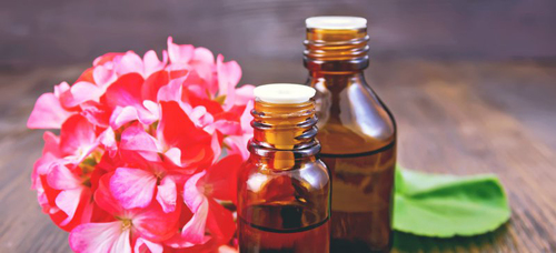 Geranium Essential Oil Age Group: Adults