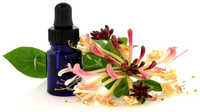 Honeysuckle Essential Oil Age Group: Infants