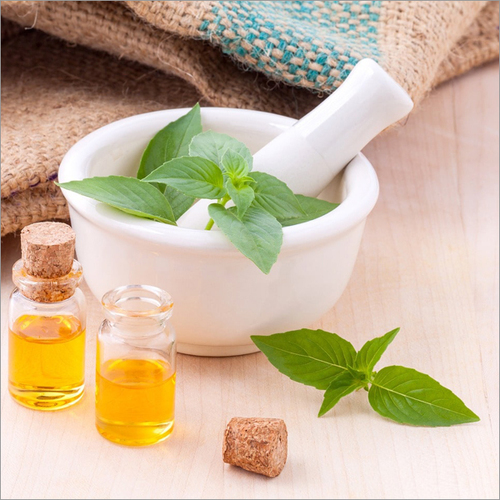 Basil Hydrosol - Light Yellow Herbal Extract, Fresh Odour, 100% Pure | Antiseptic and Calming Properties for All Ages