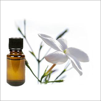 Jasminum sambac
