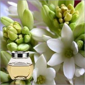 Tuberose Hydrosol - 100% Pure Herbal Extract | Transparent, Fresh Fragrance, Ideal For Adults, Children, And Infants