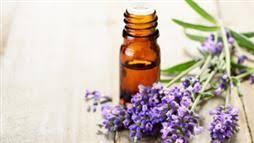 Spike Lavender Essential Oil Age Group: Infants