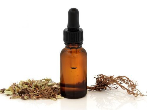 Valerian Root Essential Oil Ingredients: Herbal Extract