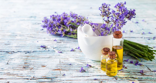 Lavender Essential Oil Bulgaria Age Group: Infants