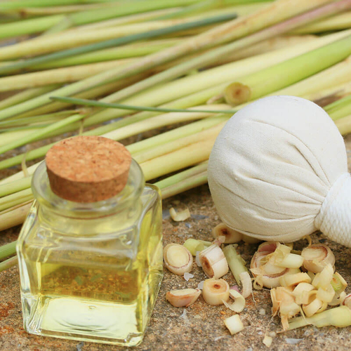 Lemongrass Essential Oil Age Group: Infants