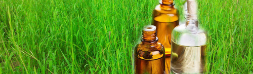 Palmarosa Essential Oil Age Group: Infants