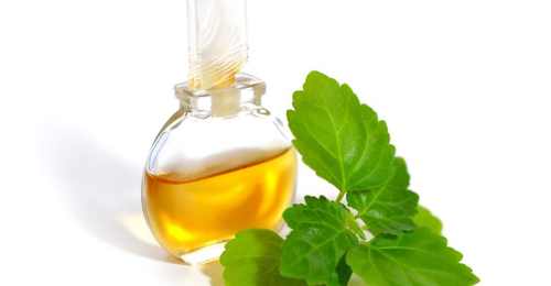Patchouli  Essential Oil Age Group: Infants