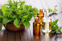 Peppermint Essential Oil Age Group: Infants